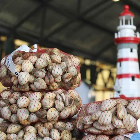 Muralha 2 - - By Sch Apartament Nazaré