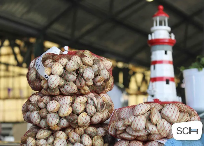 Muralha 2 - - By Sch Lejlighed Nazaré